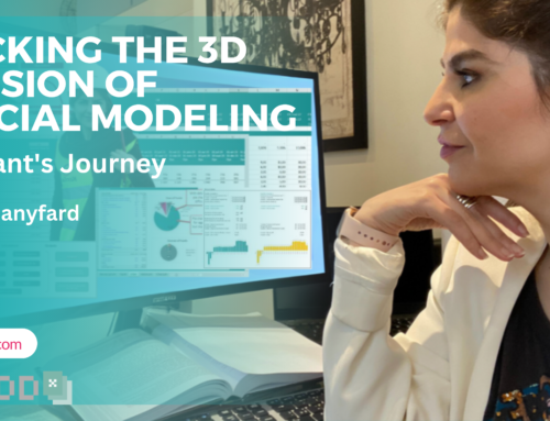 Unlocking the 3D Dimension of Financial Modeling: A Consultant’s Journey